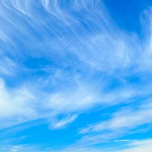 Meet your Posher, Semi l